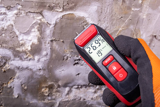 Mold Removal and Inspection in Fremont, NE