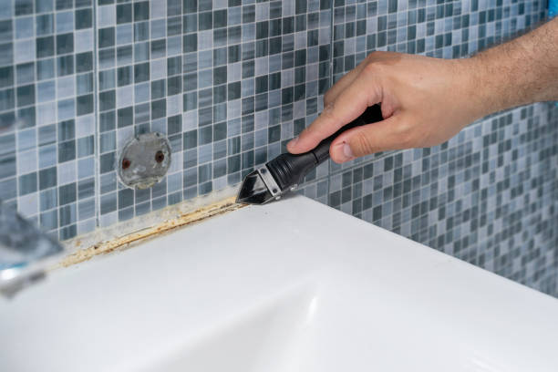 Best Best Mold Removal Companies  in Fremont, NE