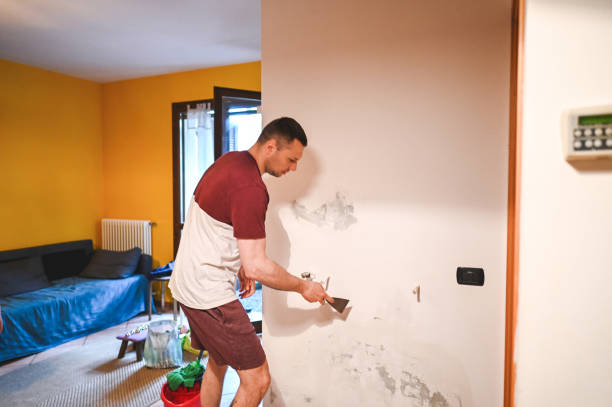 Best Mold Cleaning Services  in Fremont, NE